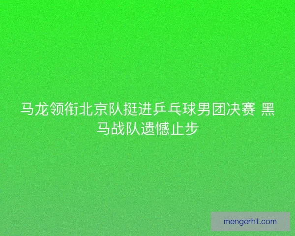 马龙领衔北京队挺进乒乓球男团决赛 黑马战队遗憾止步